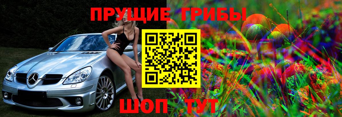 Псилоцибиновые грибы MAGIC MUSHROOMS Торжок